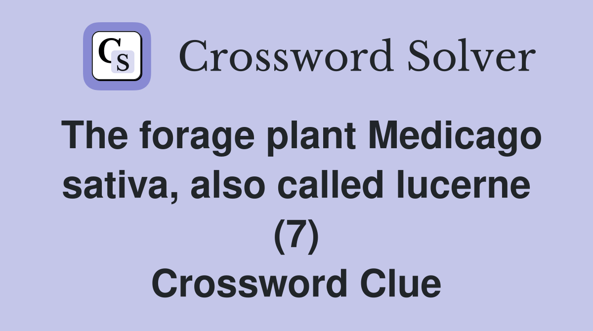 The forage plant Medicago sativa, also called lucerne (7) Crossword
